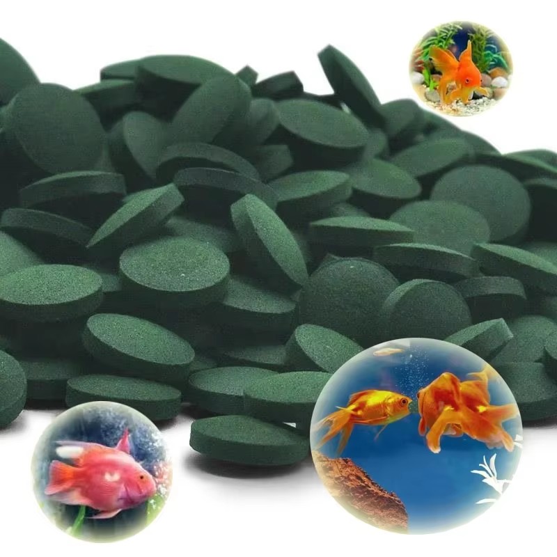 Fish Food Flake - 500-3000pcs High Purity Spirulina Tablets Spirulina