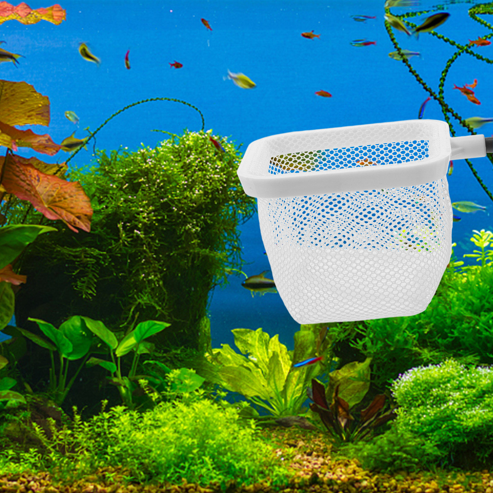 Fish Tank Isolation Net Extra  – Tank Divider Mesh Bewertung und Preis
