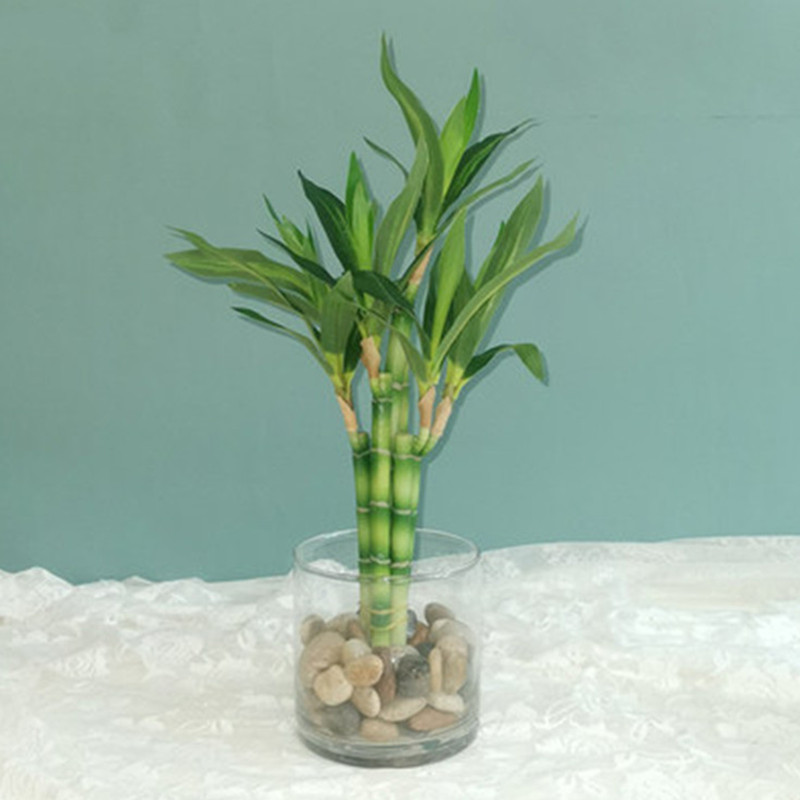 New 40cm rFtificial Lucky Bamb – Aquarium Fish Fishing Bewertung und Preis
