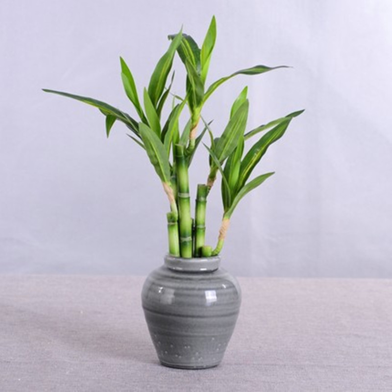 New 40cm rFtificial Lucky Bamb – Aquarium Fish Fishing Bewertung und Preis