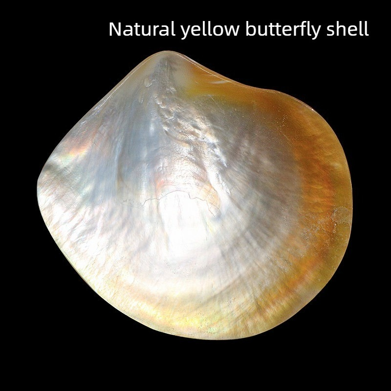 Natural Yellow Butterfly Beibe – Aquarium Fish Yellow Bewertung und Preis
