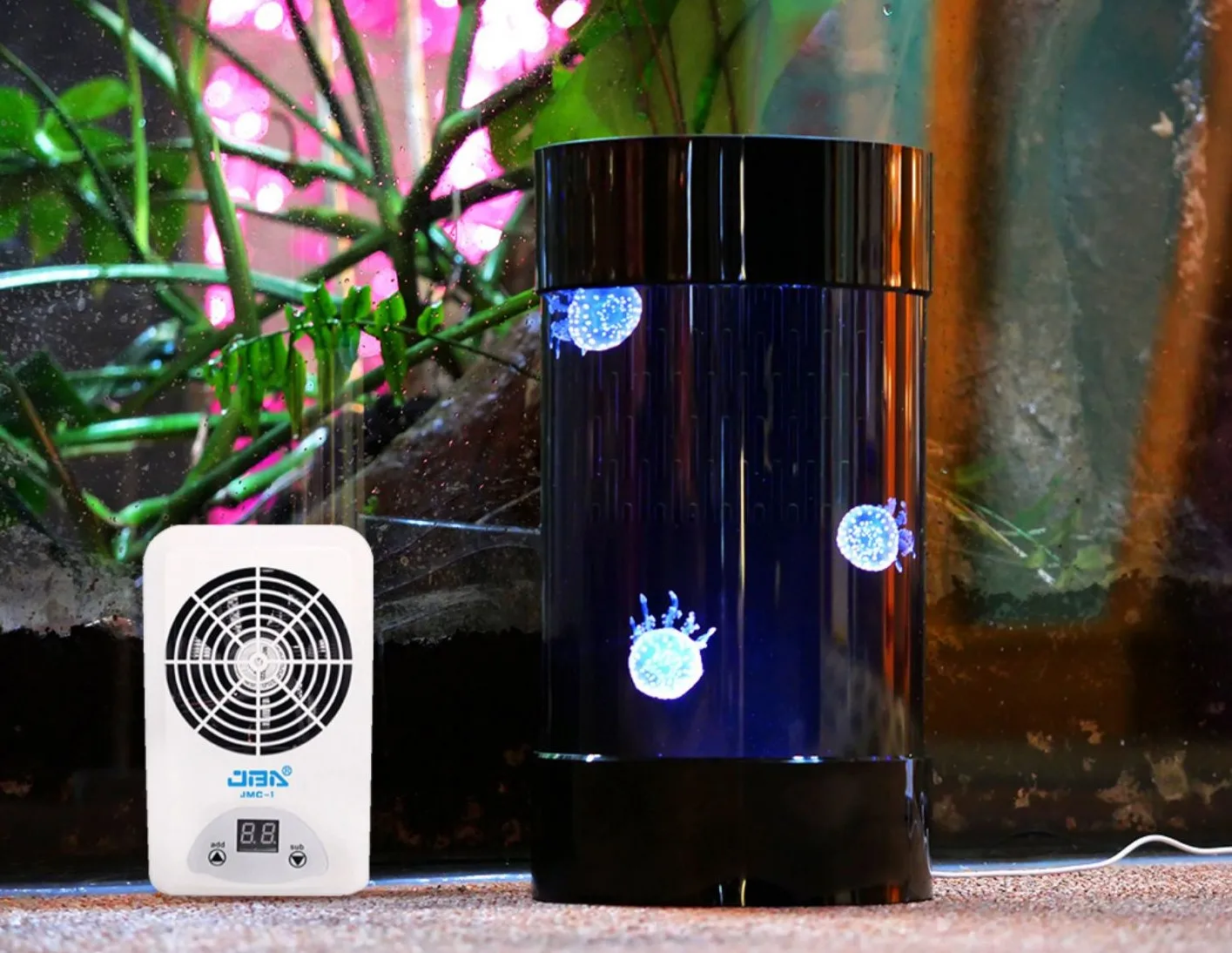 Best Amazon Sales Jellyfish Ta – Aquarium Fish In Amazon Bewertung und Preis