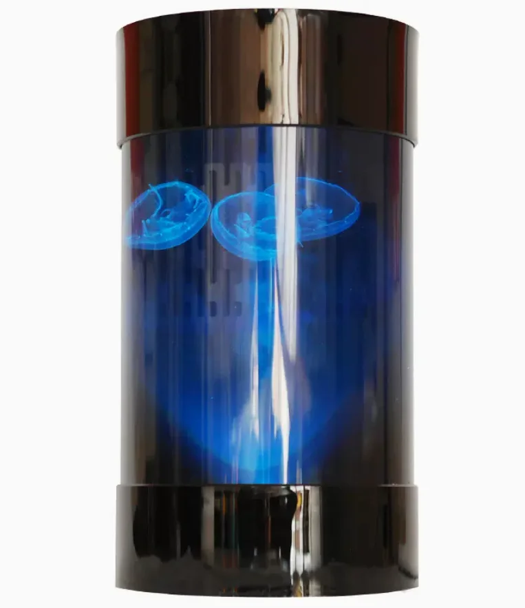 Best Amazon Sales Jellyfish Ta – Aquarium Fish In Amazon Bewertung und Preis