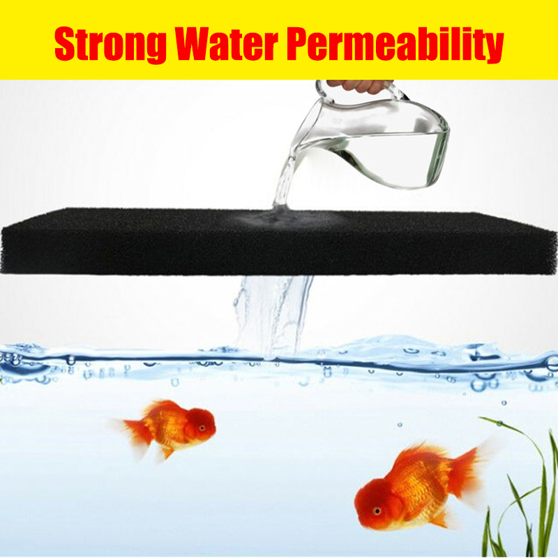Aquarium Accessories Biochemic – Aquarium Fish Yellow Bewertung und Preis