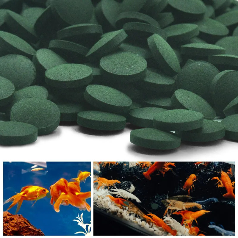 500-3000pcs High Purity Spirul – Fish Food Flake Bewertung und Preis
