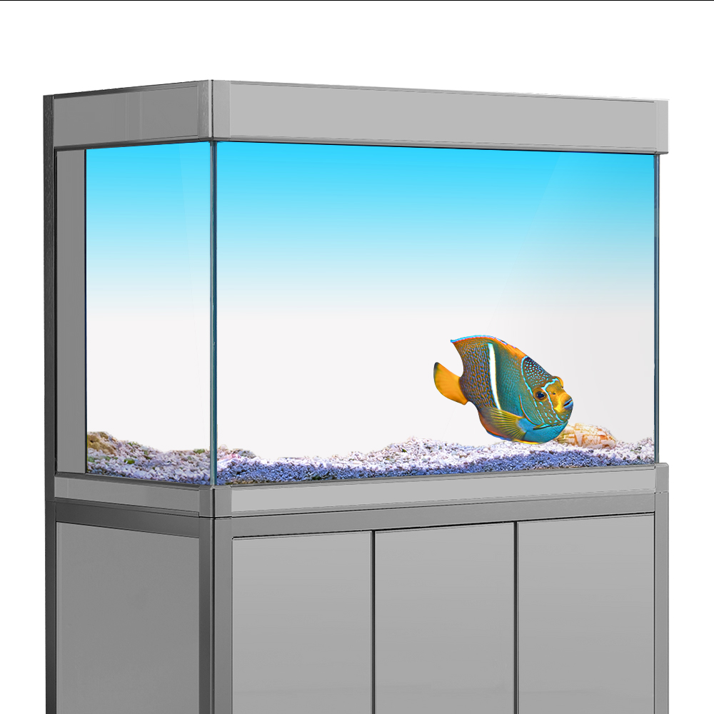 Fish Tank Background Sticker W – Aquarium Fish Yellow Bewertung und Preis