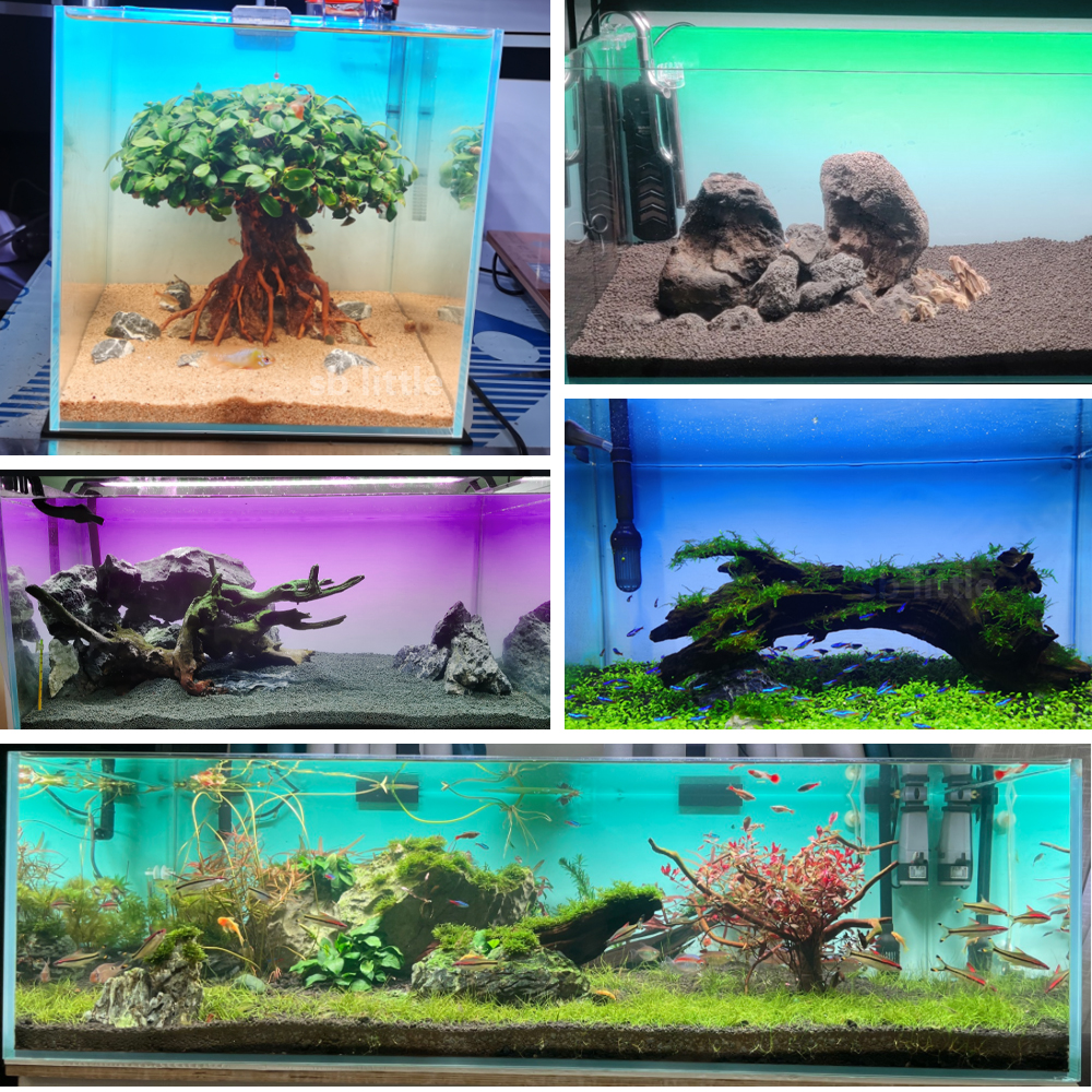 Fish Tank Background Sticker W – Aquarium Fish Yellow Bewertung und Preis
