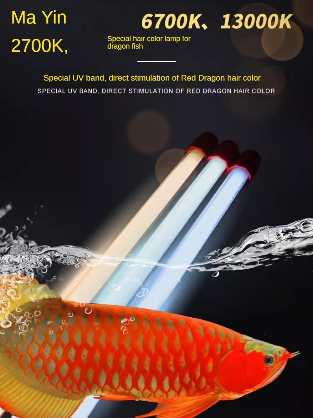 Yellow Shell T5 Submersible LE – Aquarium Fish Yellow Bewertung und Preis
