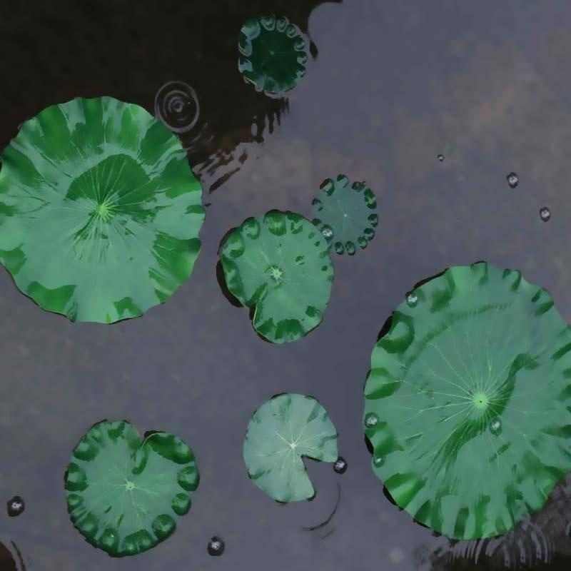 2026 Artificial Water Lily Lot – Aquarium Fish Fishing Bewertung und Preis