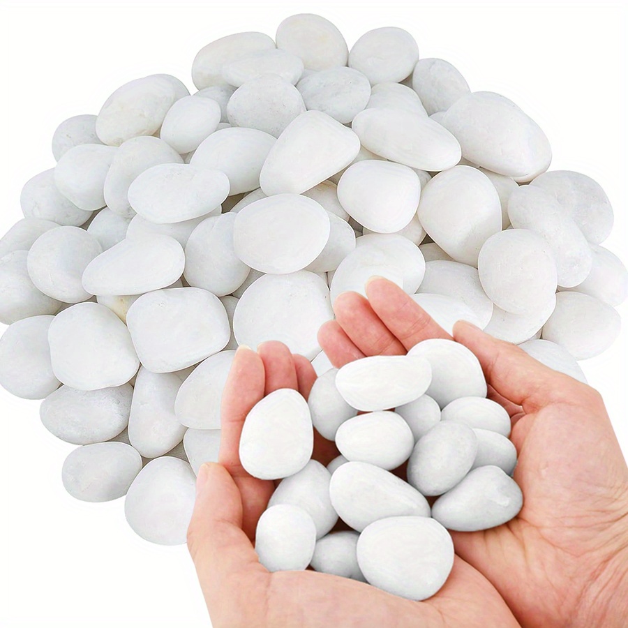 200/400g White High Polished N – Aquarium Fish Fishing Bewertung und Preis