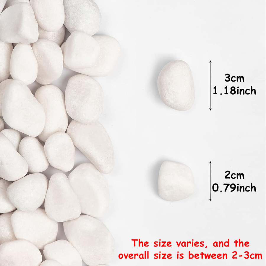 200/400g White High Polished N – Aquarium Fish Fishing Bewertung und Preis