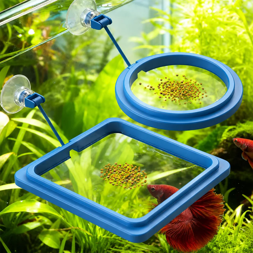 Betta Fish Food Floating Mini  – Fish Food Flake Bewertung und Preis