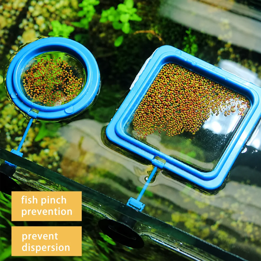 Betta Fish Food Floating Mini  – Fish Food Flake Bewertung und Preis