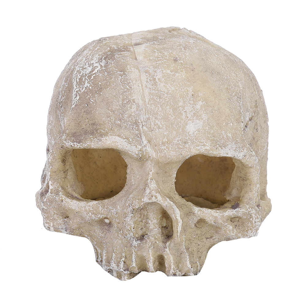 Resin Simulated Head Bone Skul – Aquarium Fish Fishing Bewertung und Preis
