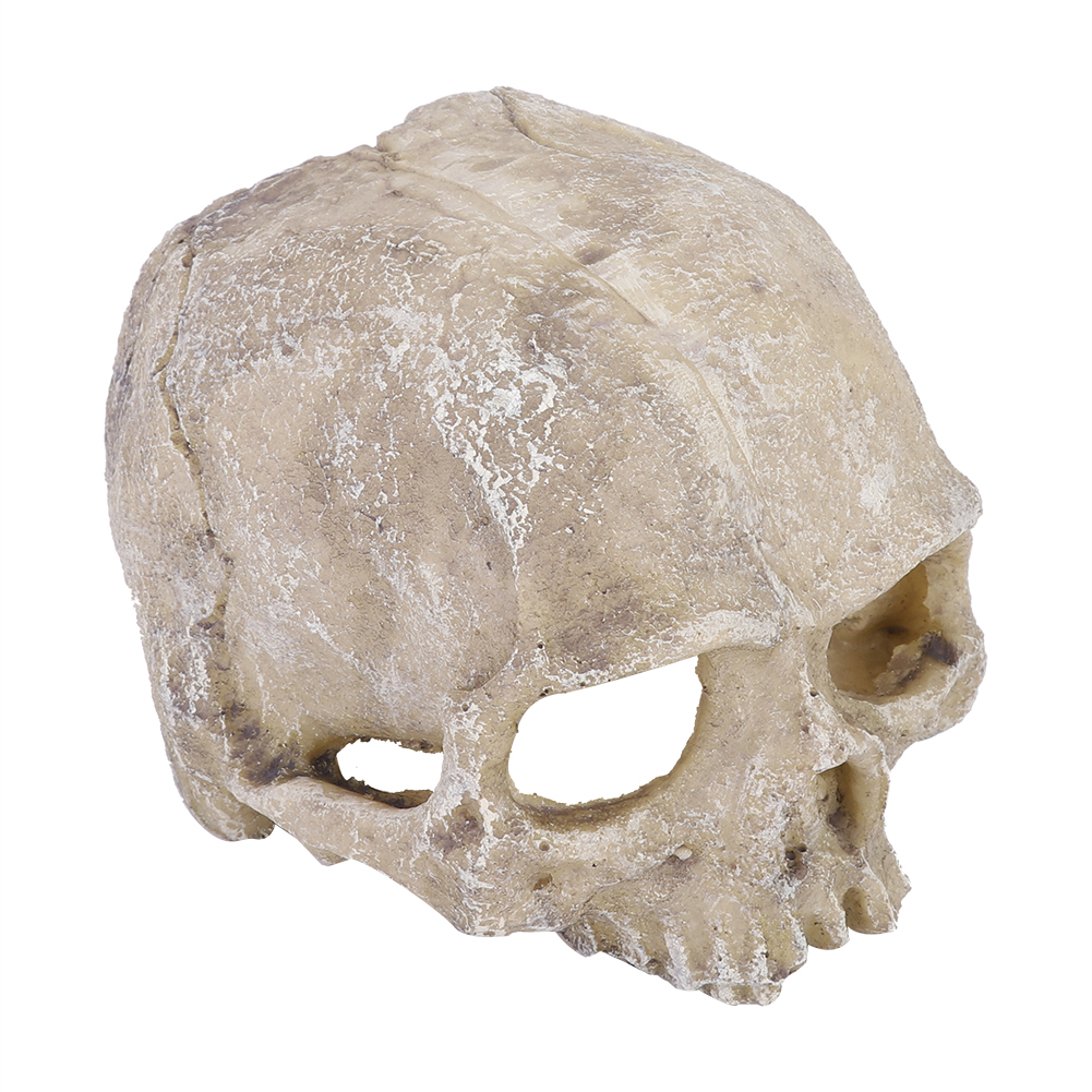 Resin Simulated Head Bone Skul – Aquarium Fish Fishing Bewertung und Preis