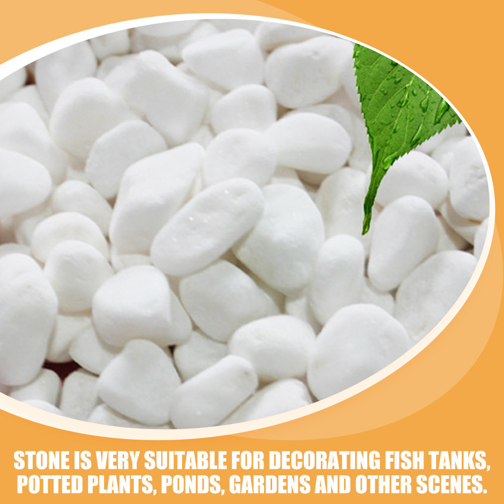 1Set White Decorative Stone El – Aquarium Fish Fishing Bewertung und Preis