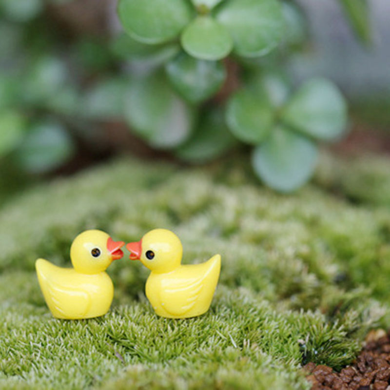 Cute Mini Yellow Duck Floating – Aquarium Fish Yellow Bewertung und Preis
