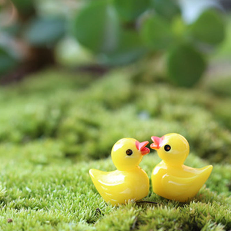 Cute Mini Yellow Duck Floating – Aquarium Fish Yellow Bewertung und Preis