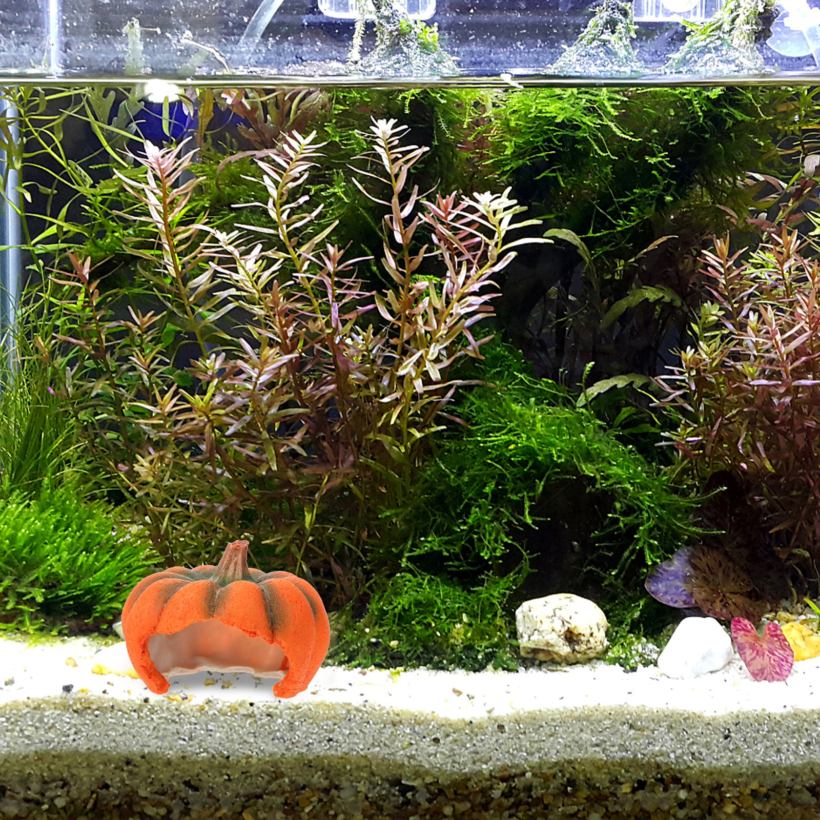 Pumpkin Aquarium Decor Yellow  – Aquarium Fish Yellow Bewertung und Preis