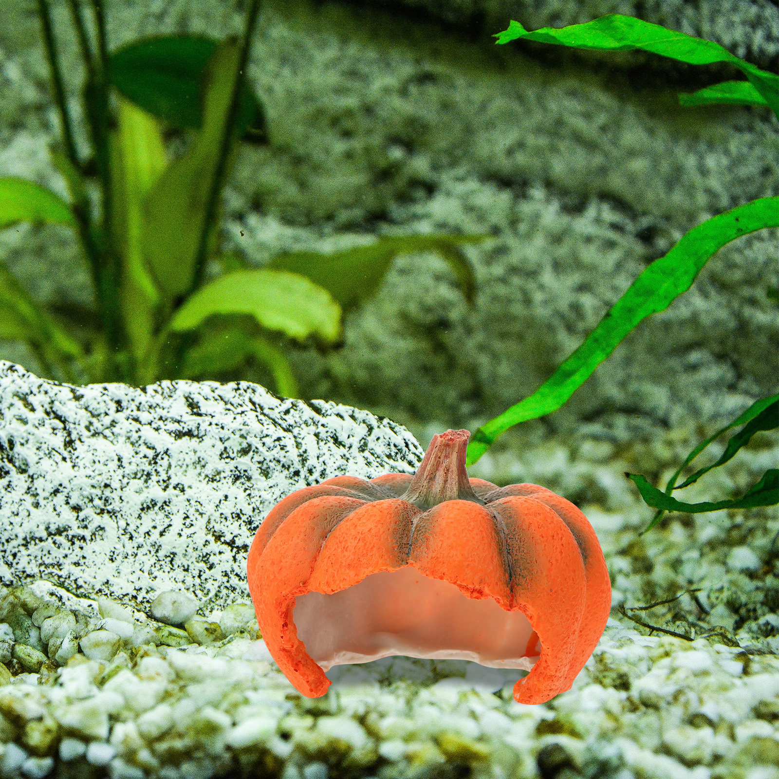 Pumpkin Aquarium Decor Yellow  – Aquarium Fish Yellow Bewertung und Preis