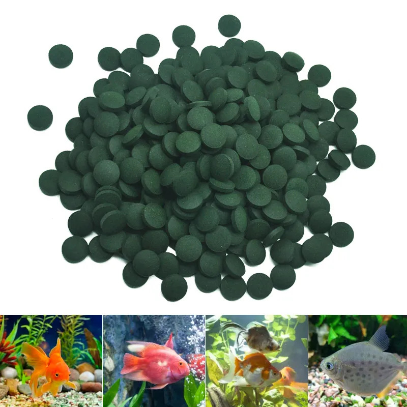 50-300Pcs High Purity Spirulin – Fish Food Flake Bewertung und Preis