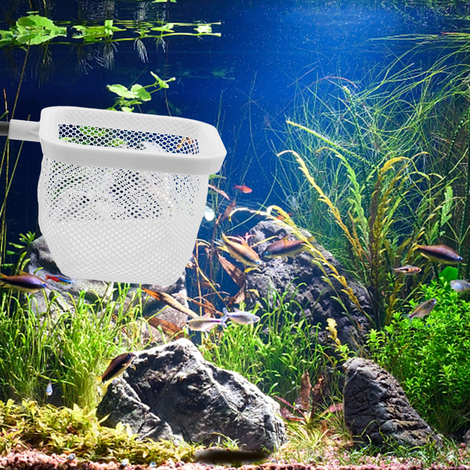 Fish Tank Isolation Box with S – Tank Divider Mesh Bewertung und Preis