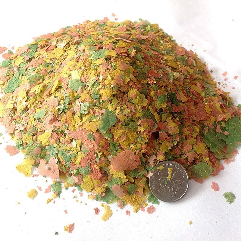 2026 Fresh Tropical Fish Flake – Fish Food Flake Bewertung und Preis