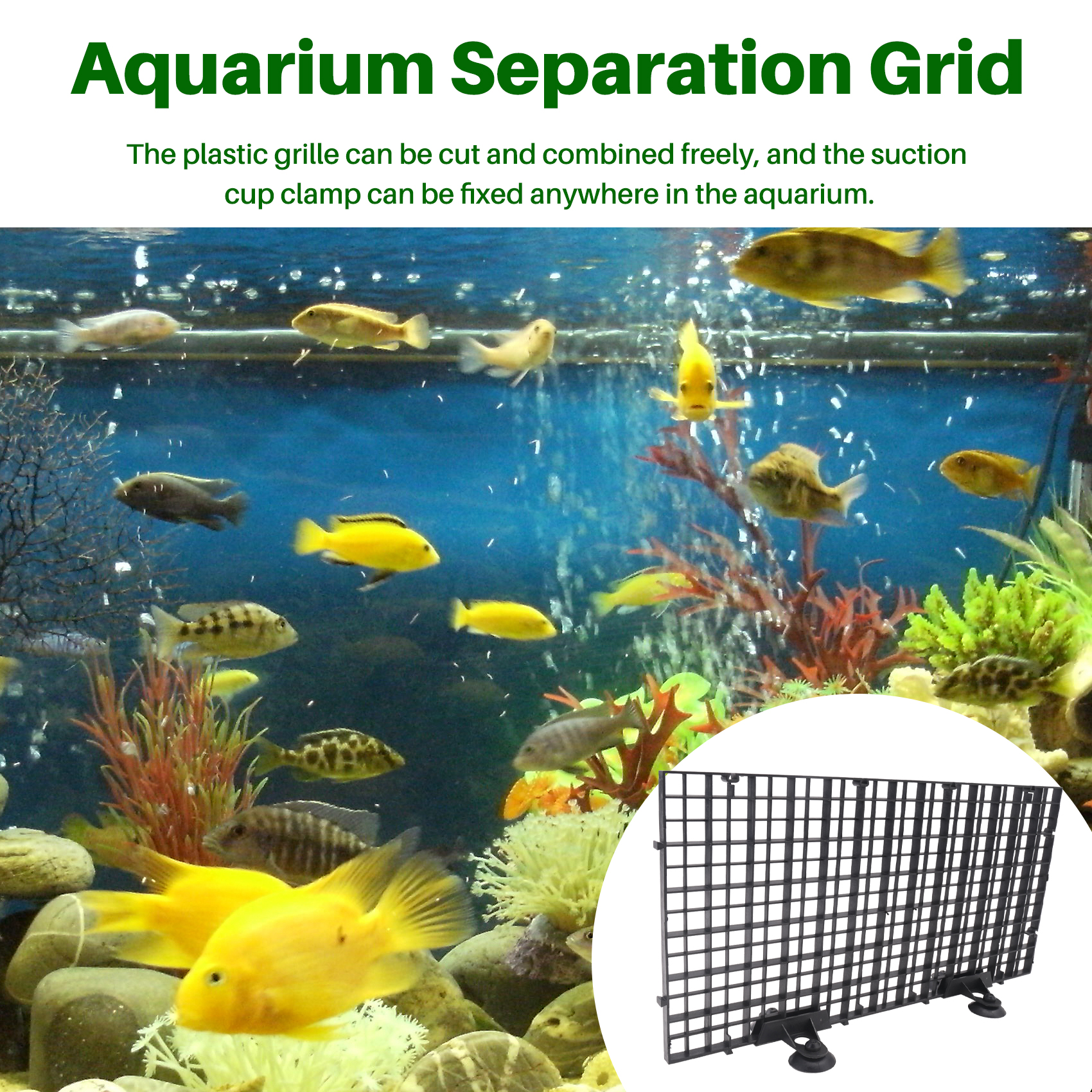 Premium-Aquarium Divider Tray  – Tank Divider Mesh Bewertung und Preis