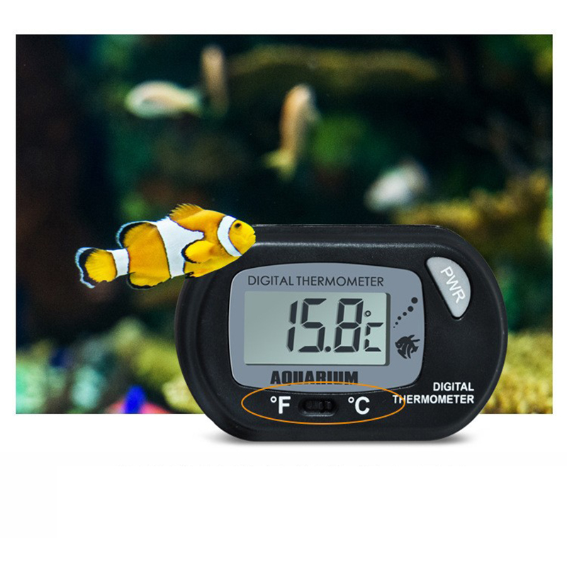 1PC 58*37mm Fish Tank Digital  – Aquarium Fish Yellow Bewertung und Preis