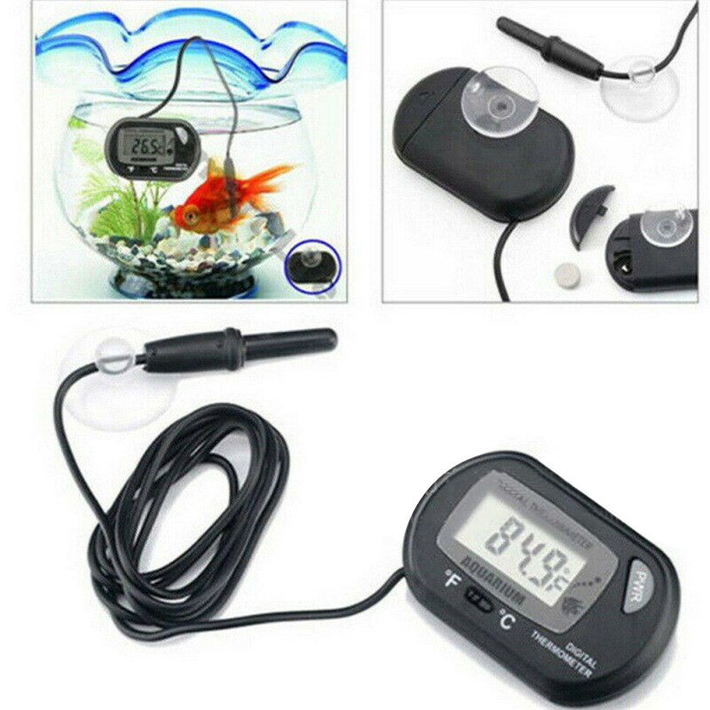 1PC 58*37mm Fish Tank Digital  – Aquarium Fish Yellow Bewertung und Preis