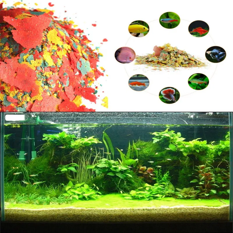 Fish Food Coloring and Brighte – Fish Food Flake Bewertung und Preis